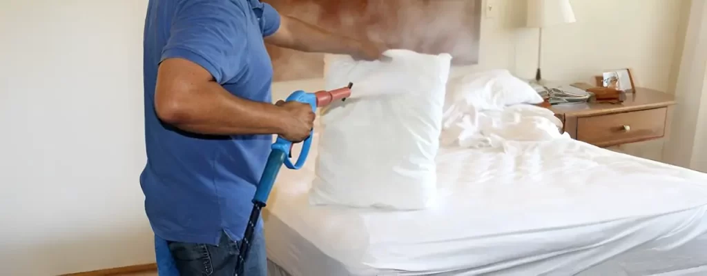 Bed Bug Removal Service in Houston Texas