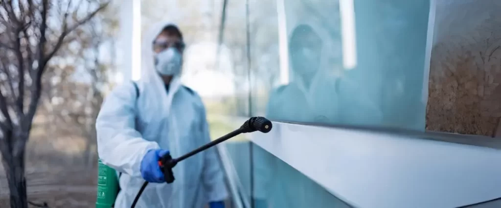 Vapor steam cleaning services